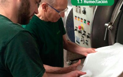 Procesos de Ribera: Humectación